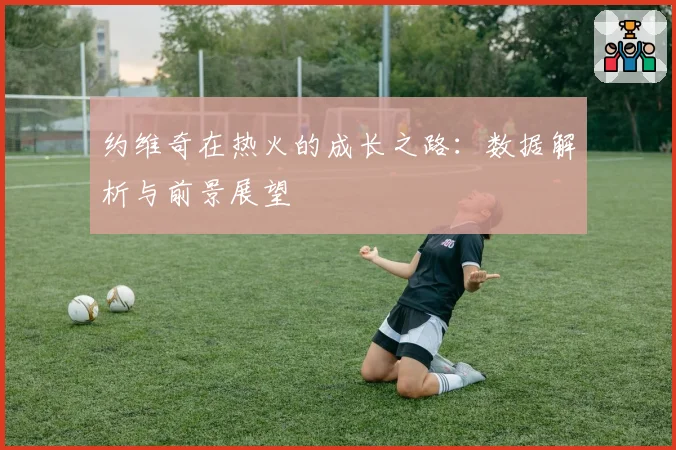 约维奇在热火的成长之路：数据解析与前景展望