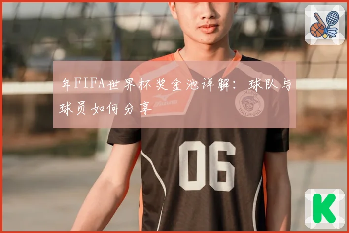 年FIFA世界杯奖金池详解：球队与球员如何分享