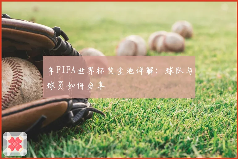 年FIFA世界杯奖金池详解：球队与球员如何分享
