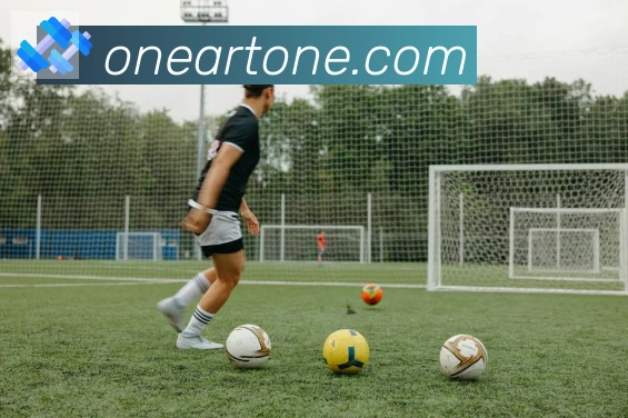 开云kaiyun网页版服务体系