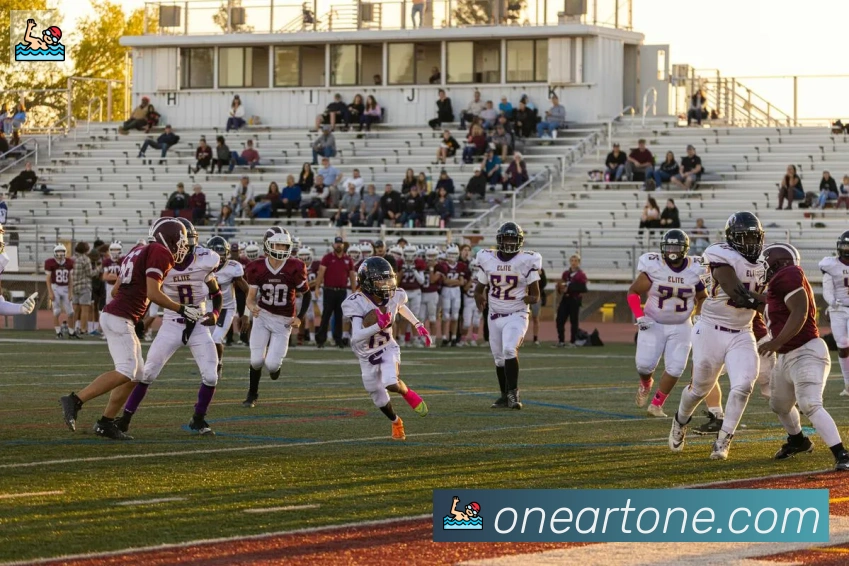 开云kaiyun网页版荣誉